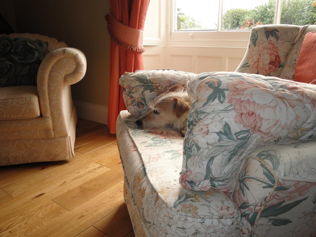 Babcary Cary Fitzpaine House Bed & Breakfast エクステリア 写真