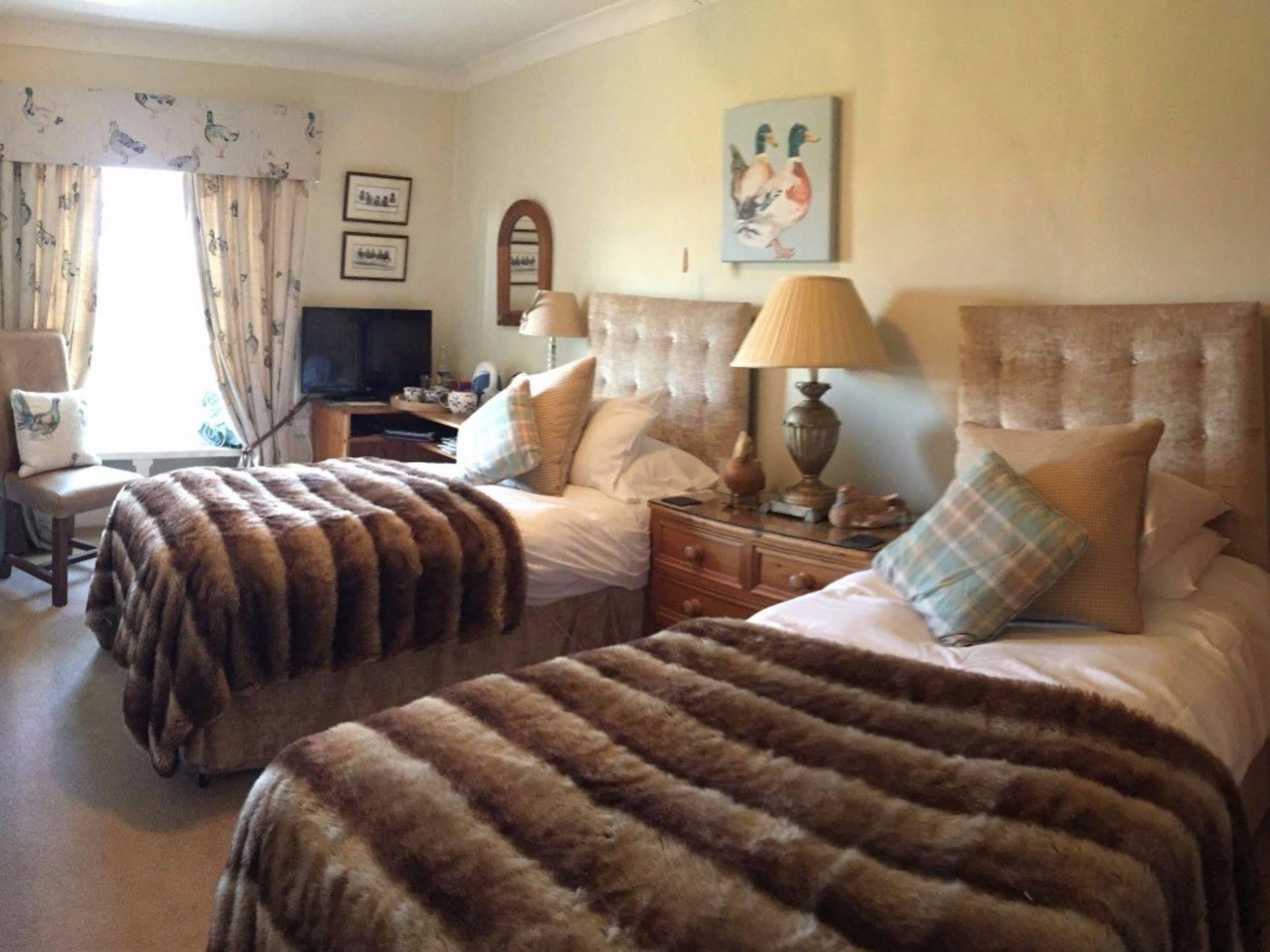 Babcary Cary Fitzpaine House Bed & Breakfast エクステリア 写真